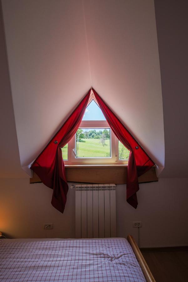 Вілла Domacija Malnarjevi Villa Slavina Екстер'єр фото